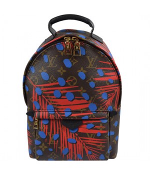 Louis Vuitton M41980 Palm Springs Backpack PM Monogram Canvas