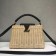Louis vuitton original CAPUCINES PM M50011 black